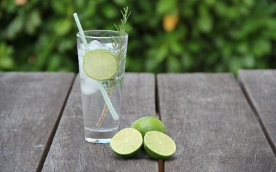 Gin – Fra stilfuldt spiritus til moderne trend